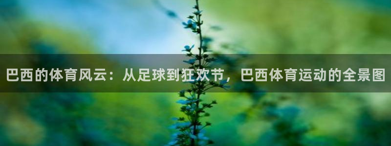 oety欧亿：巴西的体育风云：从足球到狂欢节，巴西体育运动的全景图
