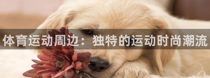 oety欧亿：体育运动周边：独特的运动时尚潮流