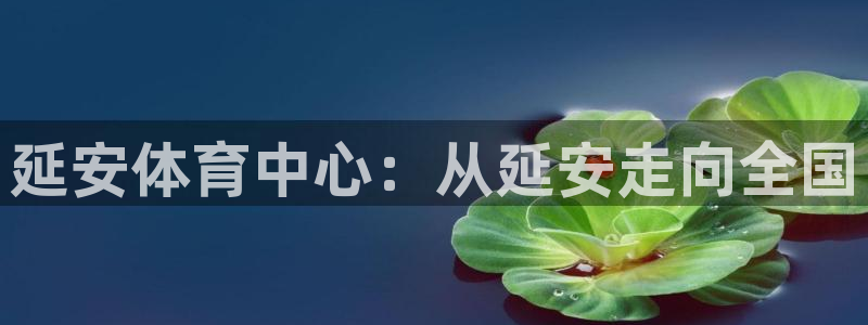 oety欧亿：延安体育中心：从延安走向全国