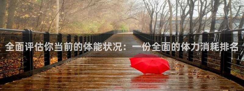 oety欧亿：全面评估你当前的体能状况：一份全面的体力消耗排名