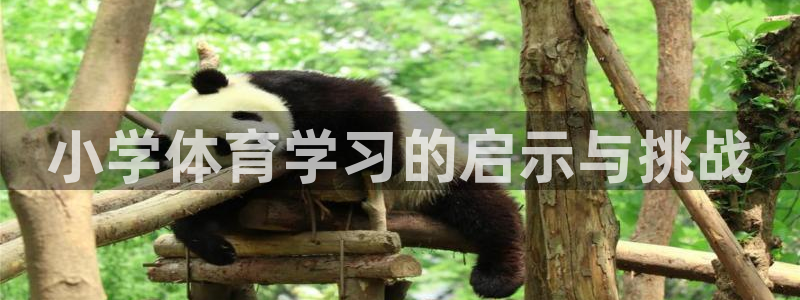 oety欧亿：小学体育学习的启示与挑战