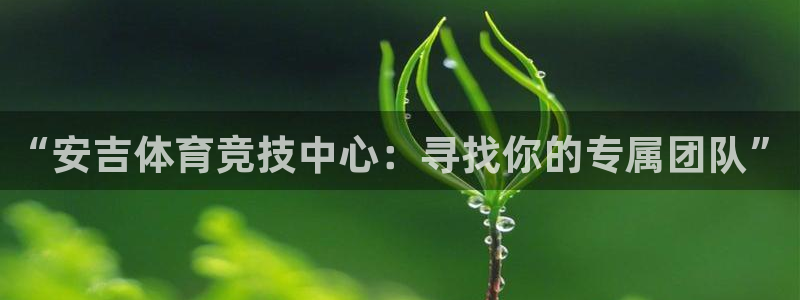 oety欧亿：“安吉体育竞技中心：寻找你的专属团队”