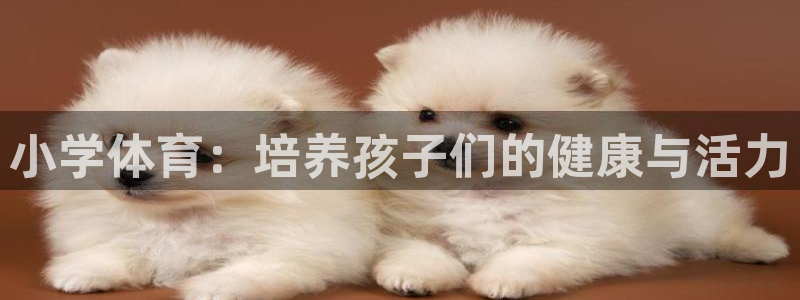 oety欧亿：小学体育：培养孩子们的健康与活力